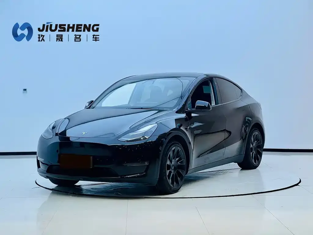 Tesla Model Y — фото 1