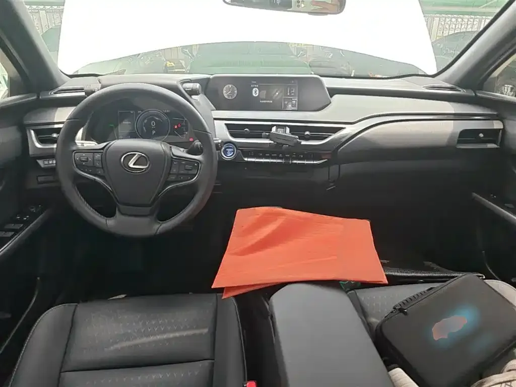 Lexus UX 2021 из CN, фото 6