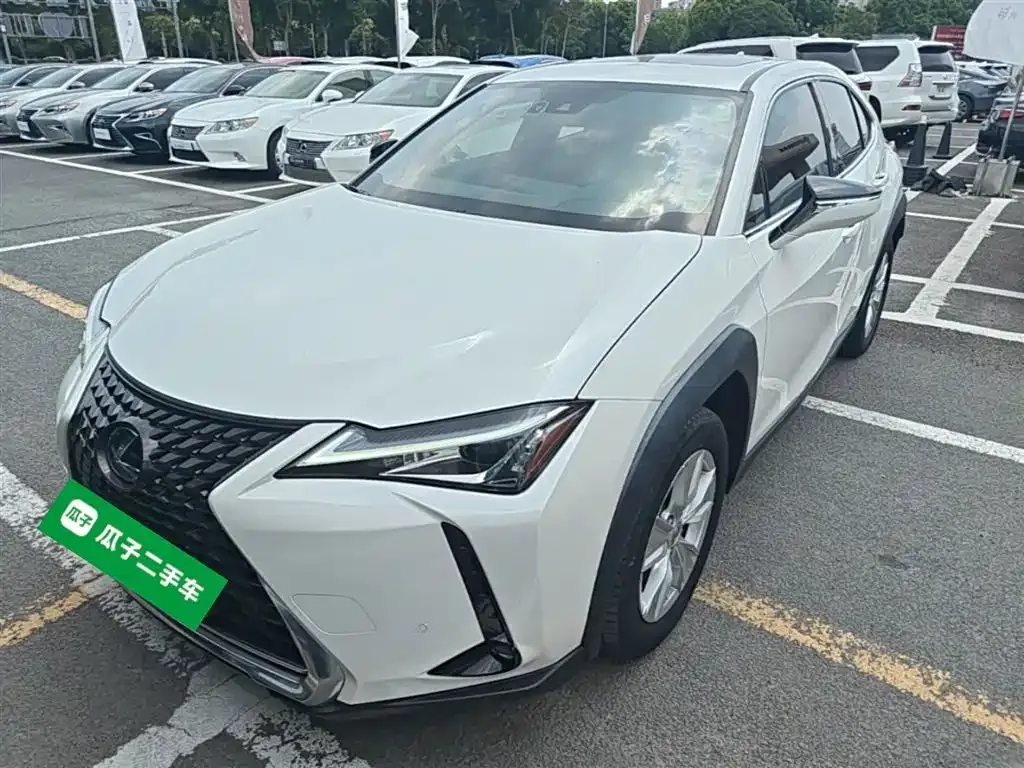 Lexus UX 2021 из CN, фото 4