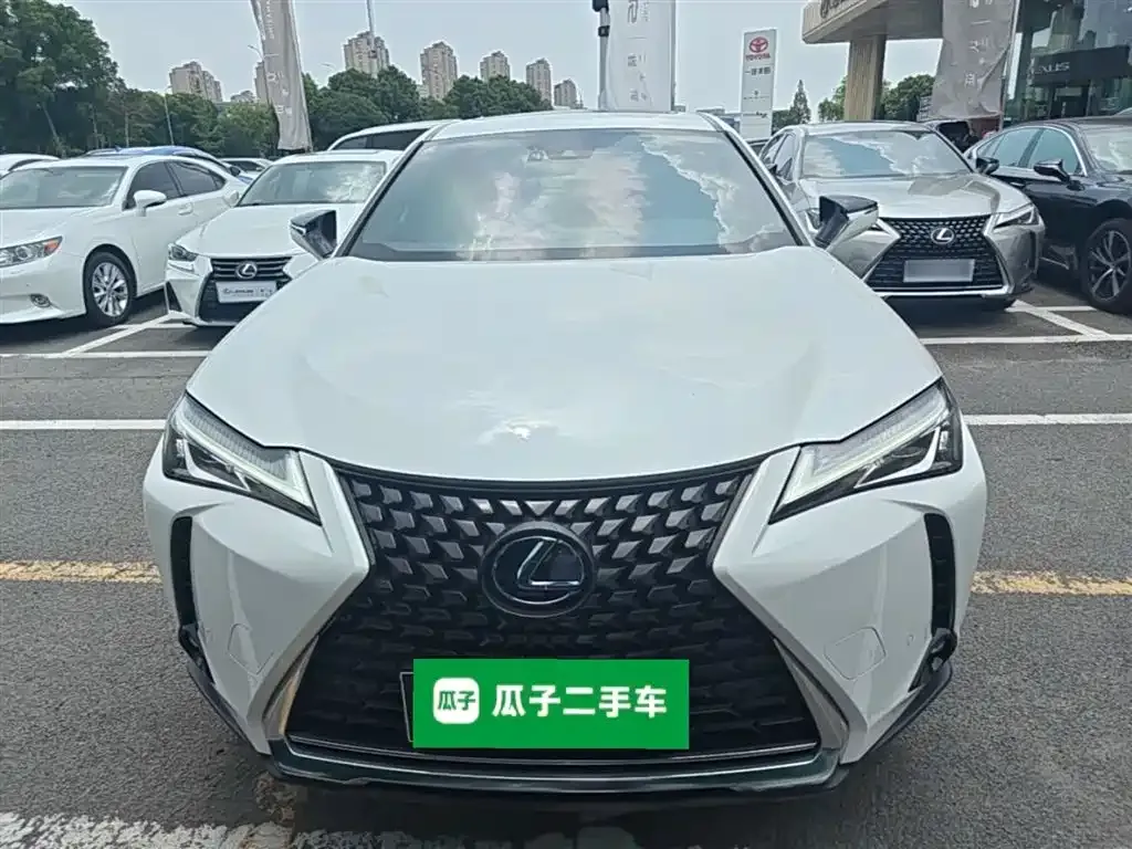 Lexus UX 2021 из CN, фото 7