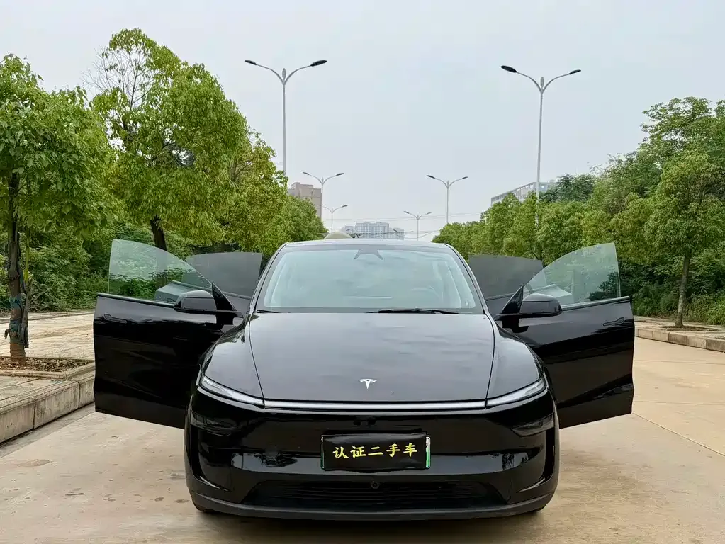 Tesla Model Y — фото 2