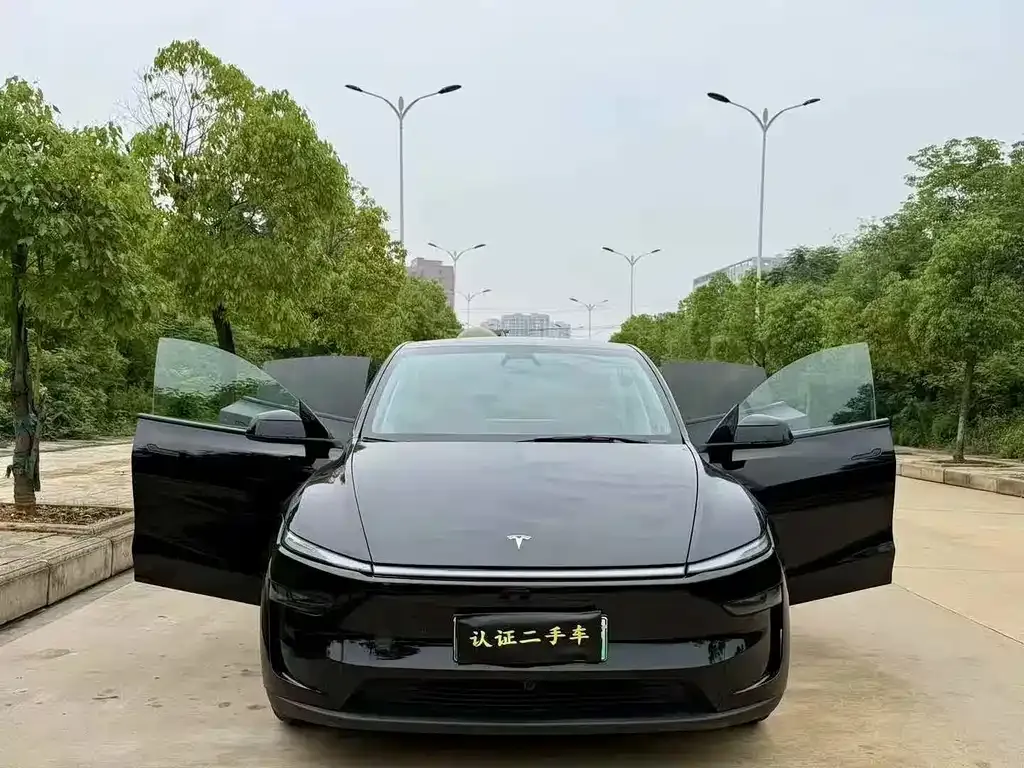 Tesla Model Y — фото 3