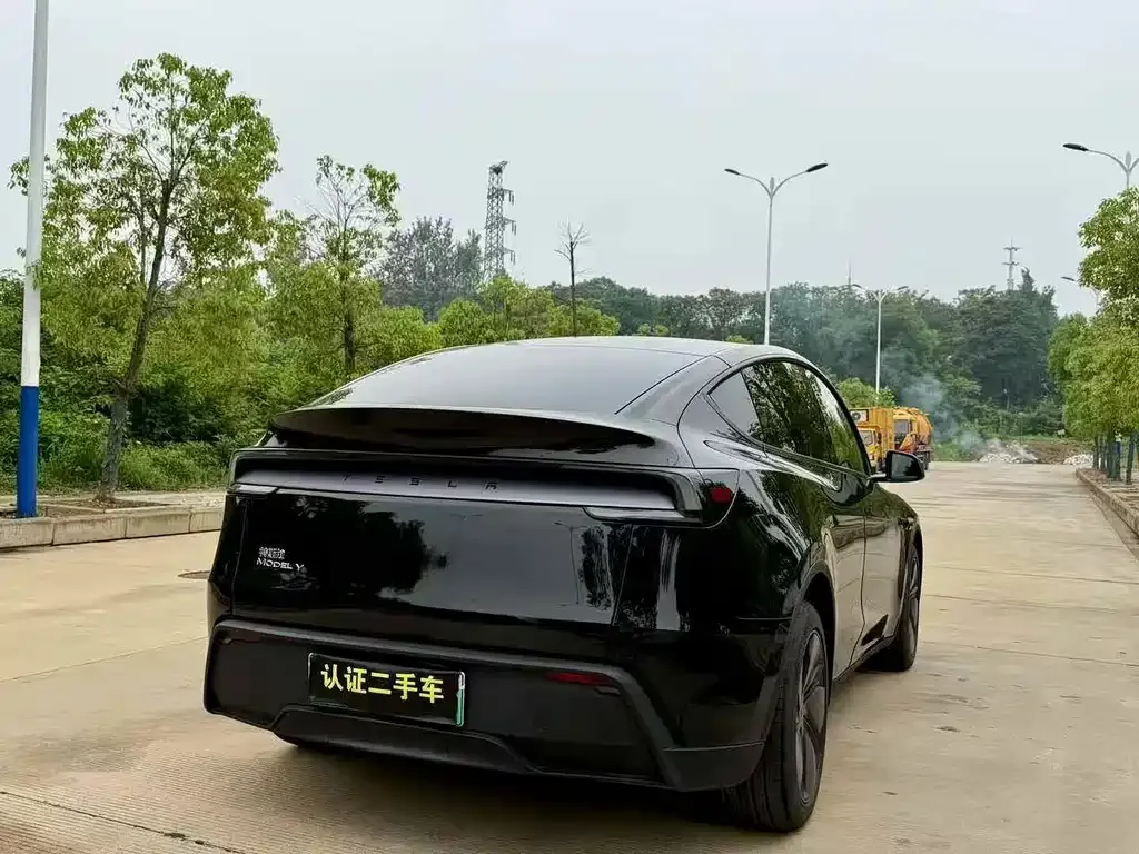 Tesla Model Y — фото 10
