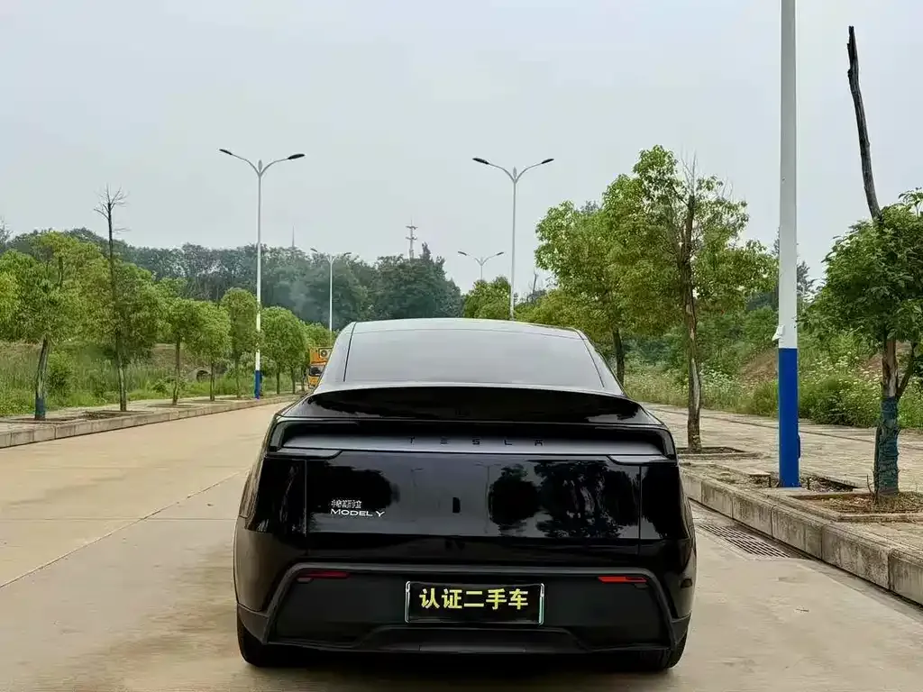 Tesla Model Y — фото 4