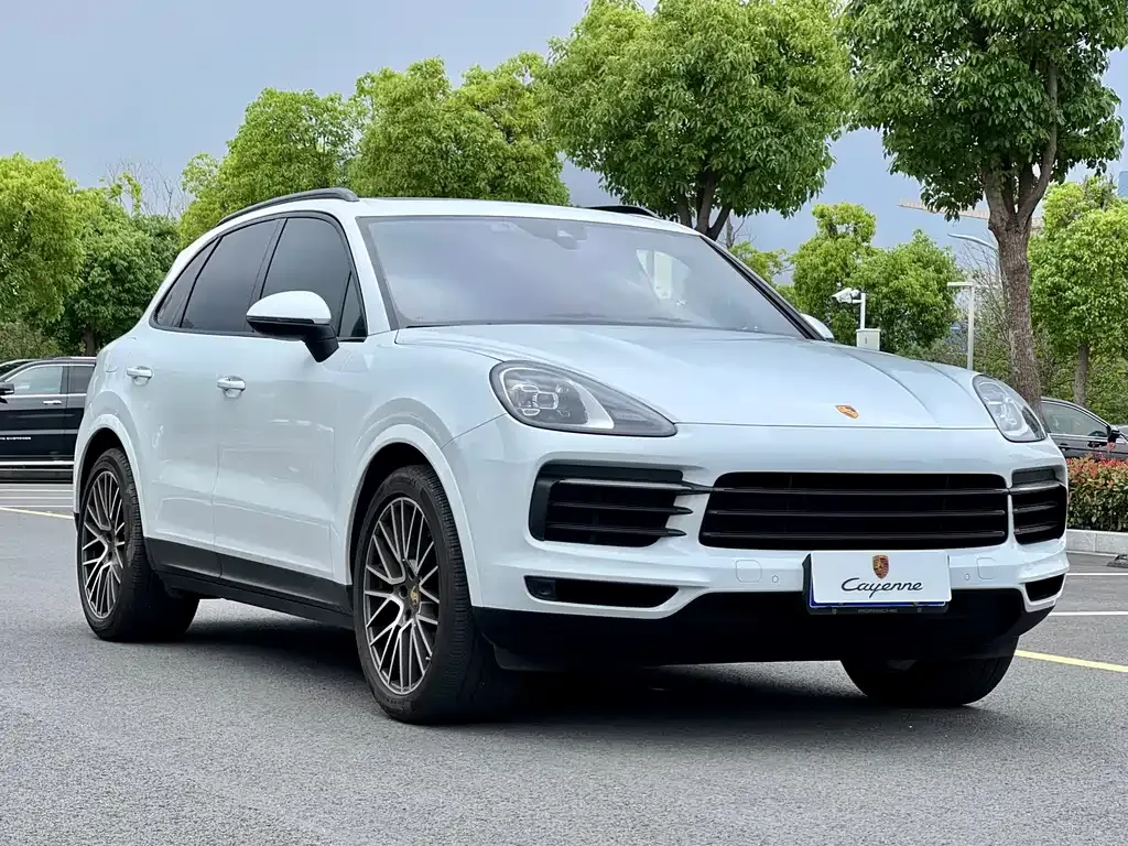 Porsche Cayenne — фото 10