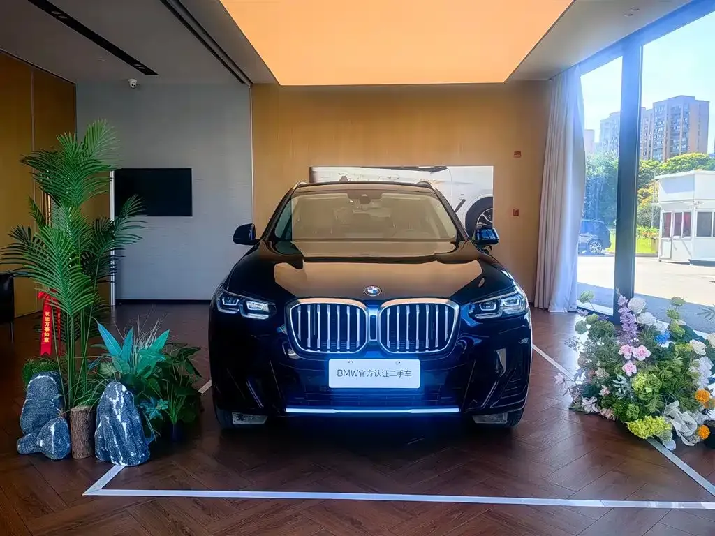 BMW X3 2021 из CN, фото 9