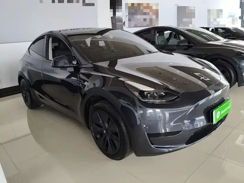 Tesla Model Y — фото 9