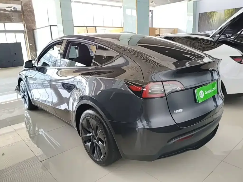Tesla Model Y — фото 6