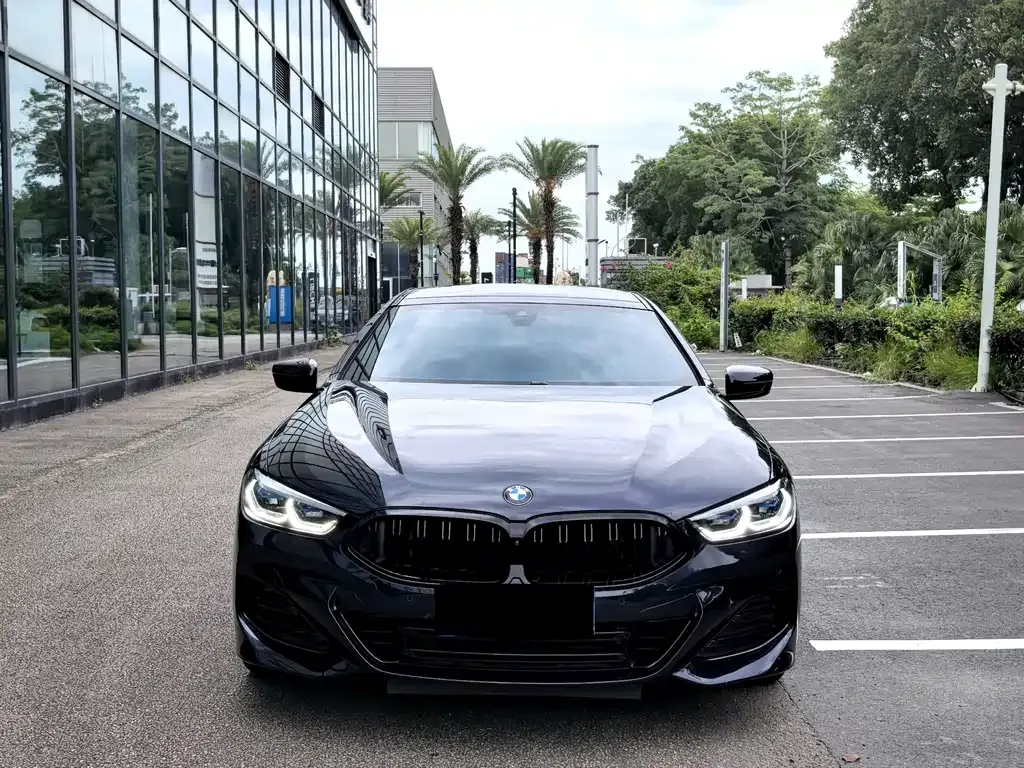 BMW 8 Series 2023 из CN, фото 9