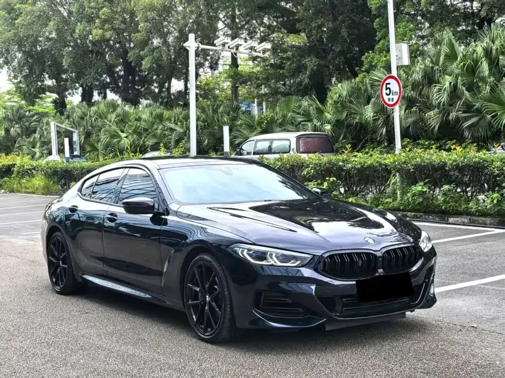 BMW 8 Series 2023 из CN, фото 4