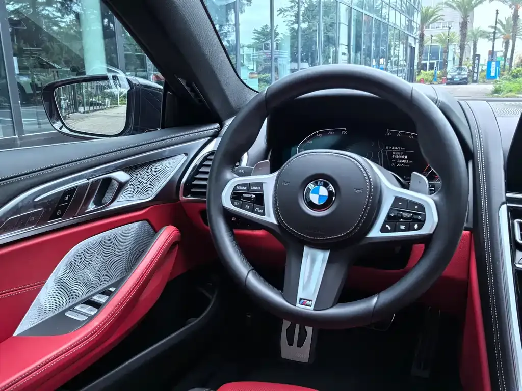 BMW 8 Series 2023 из CN, фото 10
