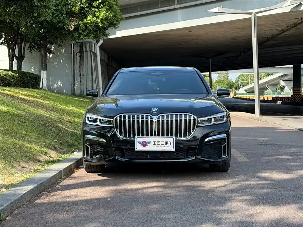 BMW 7 Series 2022 из CN, фото 8