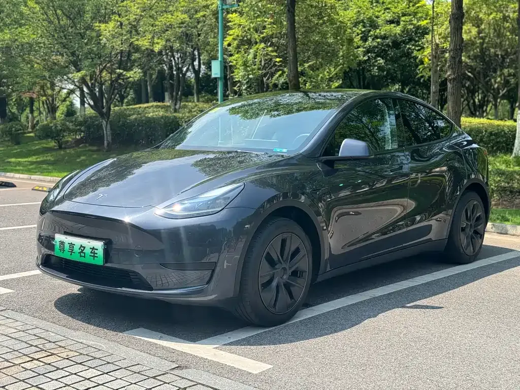 Tesla Model Y — фото 1