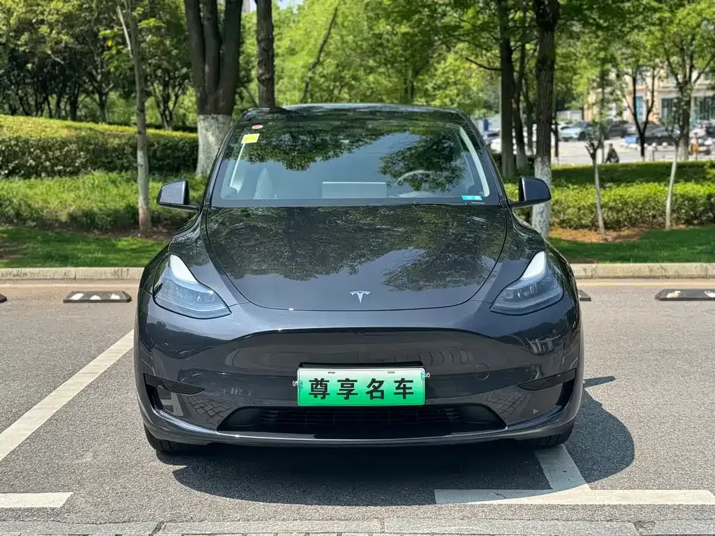 Tesla Model Y — фото 7