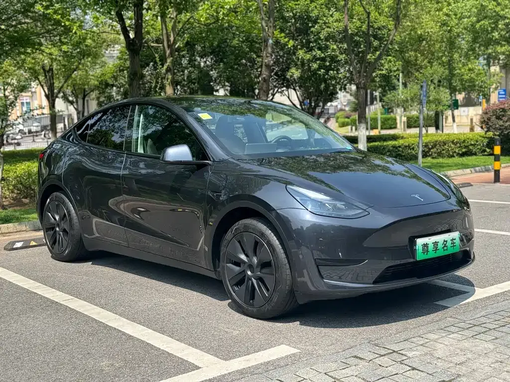 Tesla Model Y — фото 8