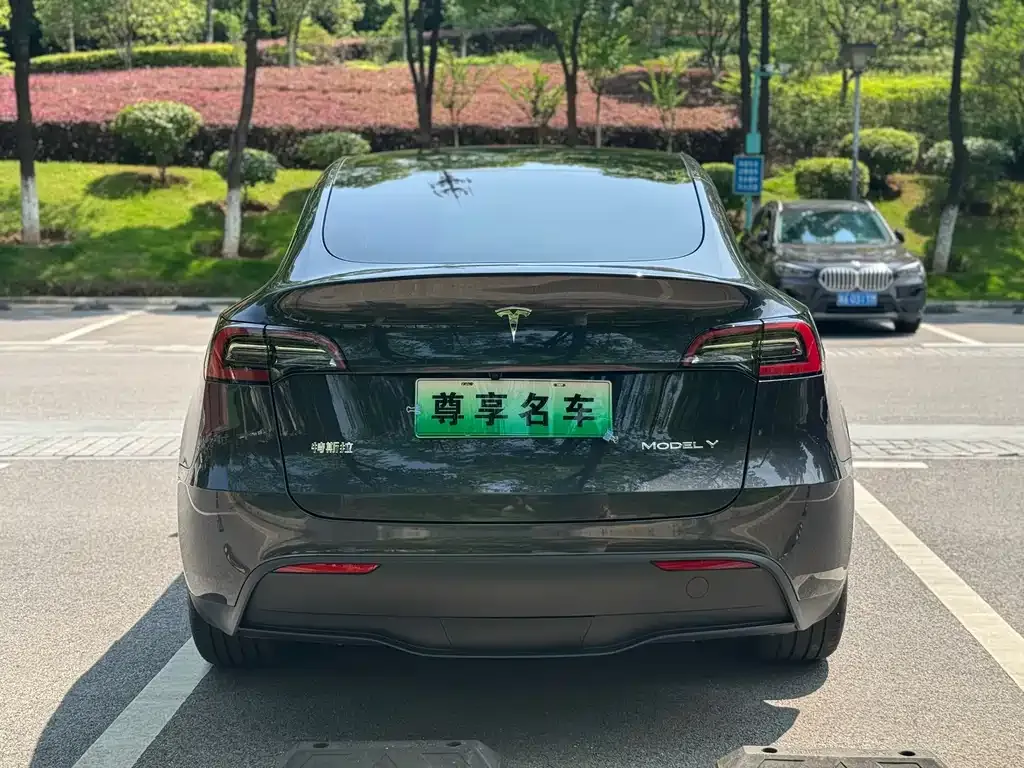 Tesla Model Y — фото 6