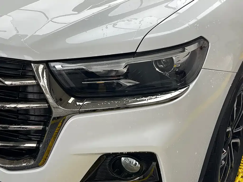 Haval H6 2022 из CN, фото 4