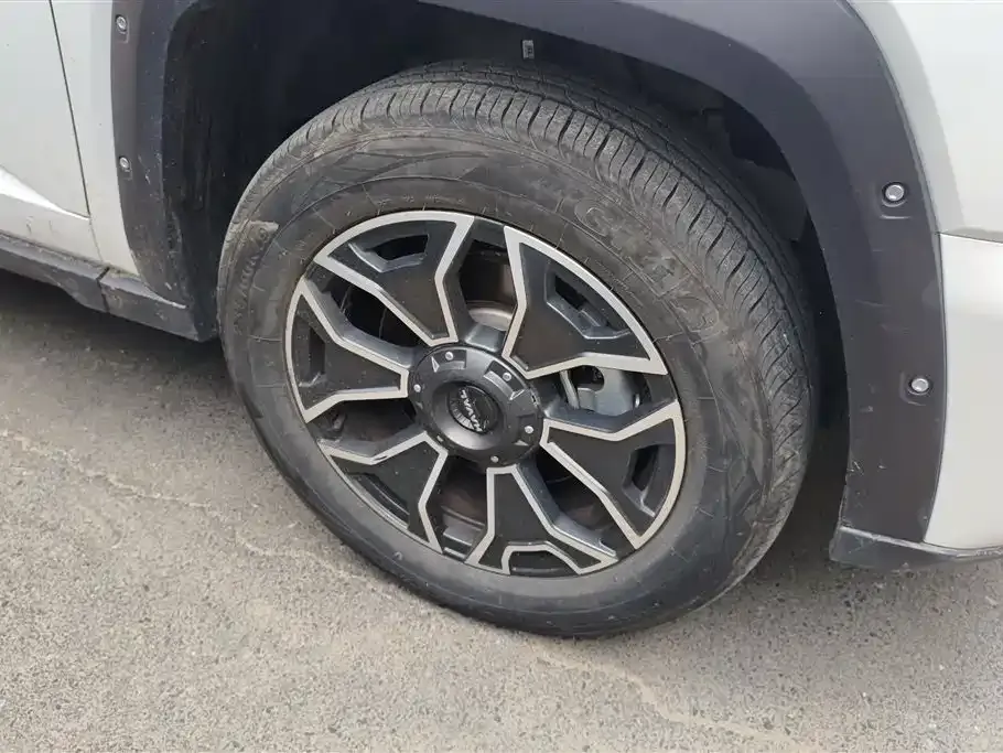 Haval H7 (Big Dog Plus) New Energy 2023 из CN, фото 6