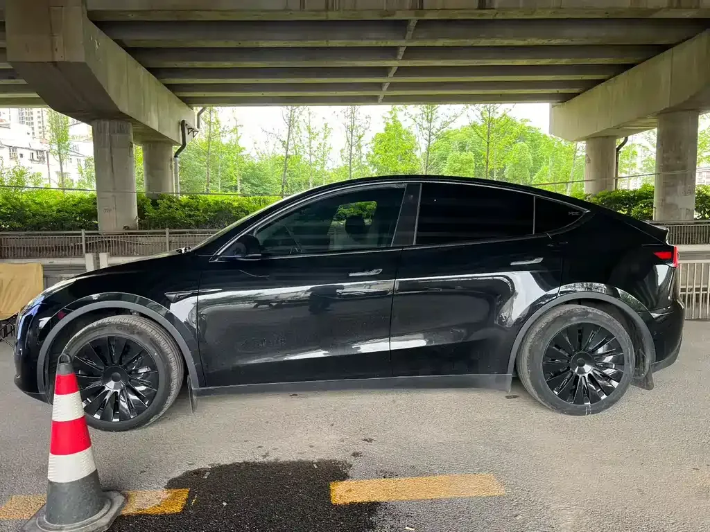 Tesla Model Y — фото 5