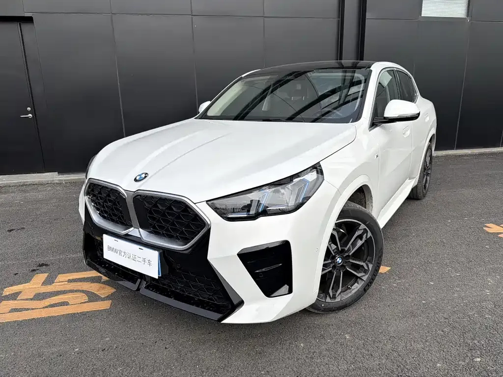 BMW X2 (Import) — фото 1
