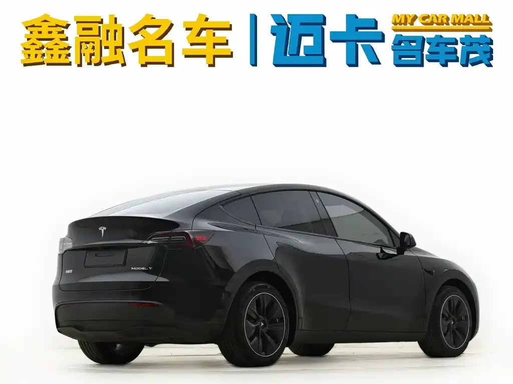 Tesla Model Y — фото 10
