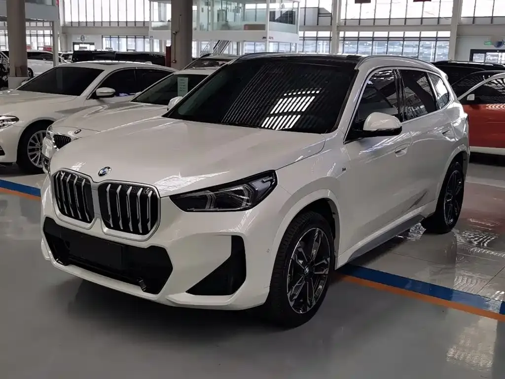 BMW X1 — фото 10
