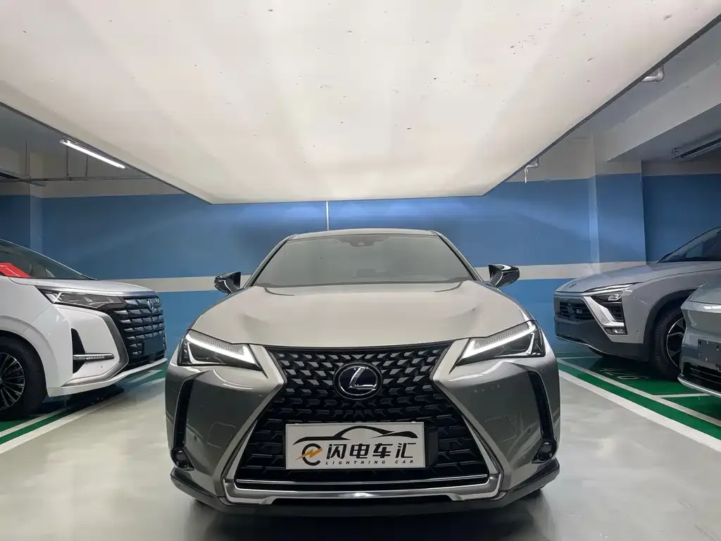 Lexus UX New Energy 2022 из CN, фото 3