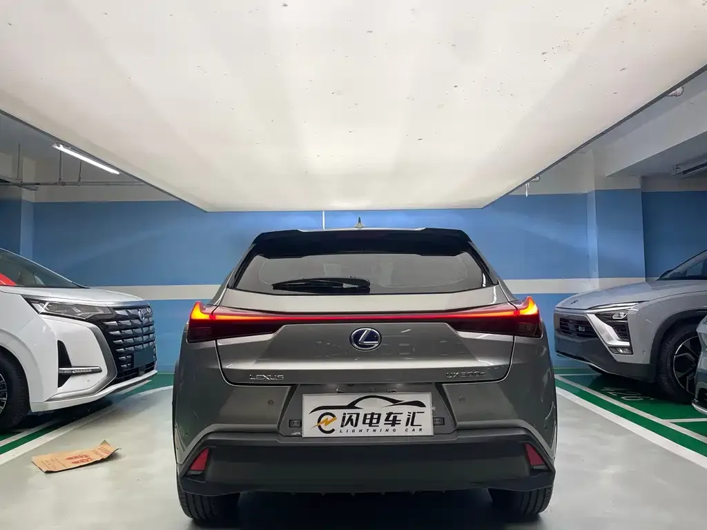 Lexus UX New Energy 2022 из CN, фото 5