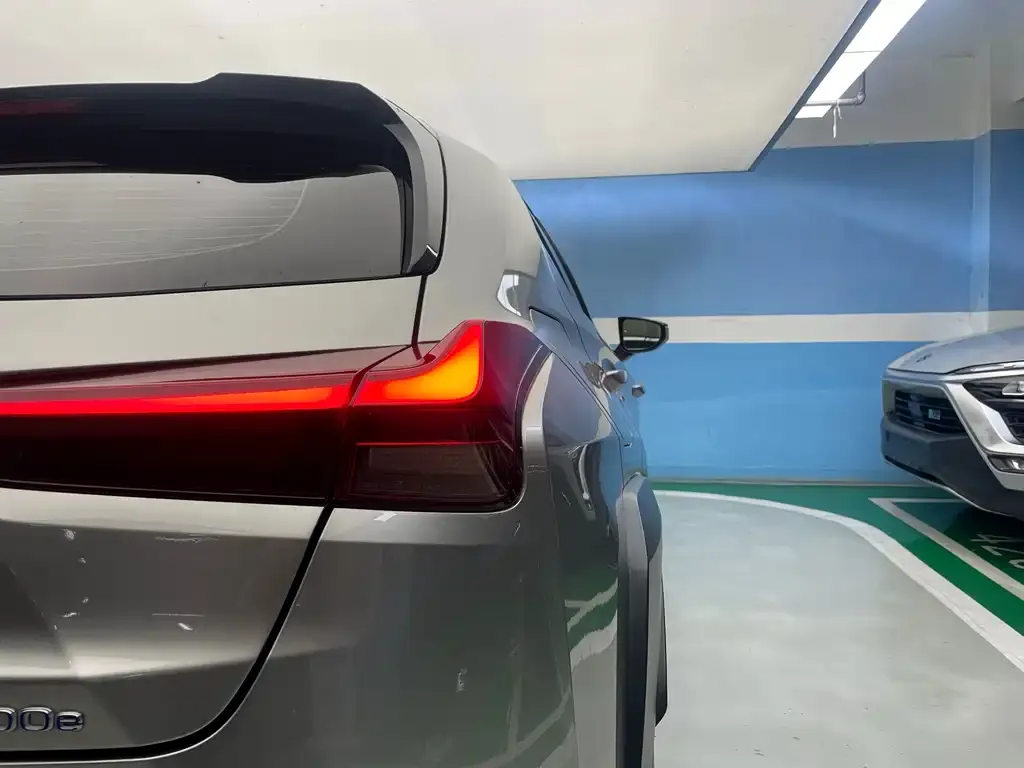 Lexus UX New Energy 2022 из CN, фото 2