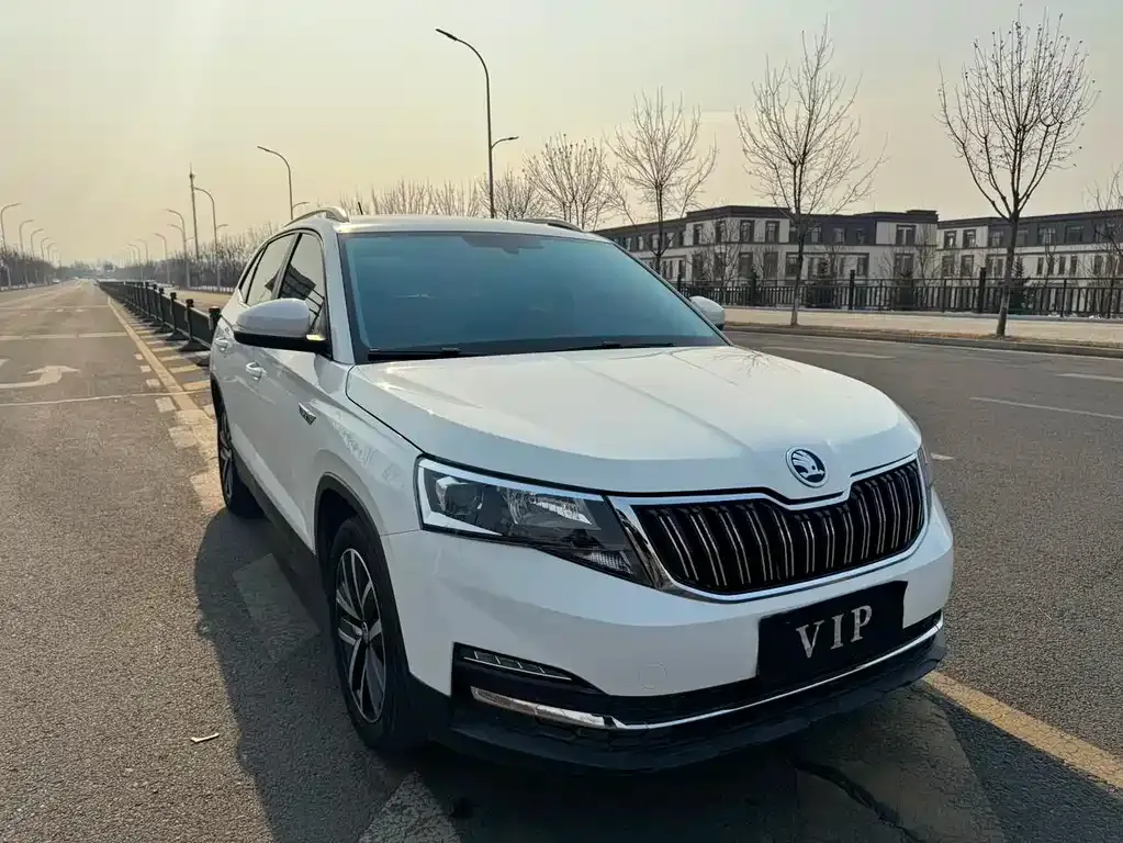 Skoda Kamiq 2022 из CN, фото 2