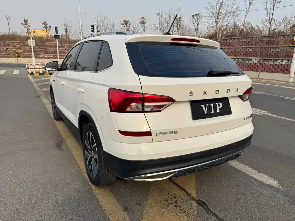 Skoda Kamiq 2022 из CN, фото 10
