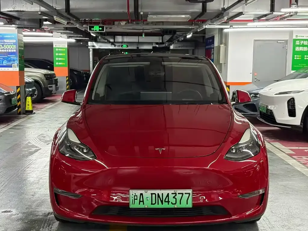 Tesla Model Y — фото 2
