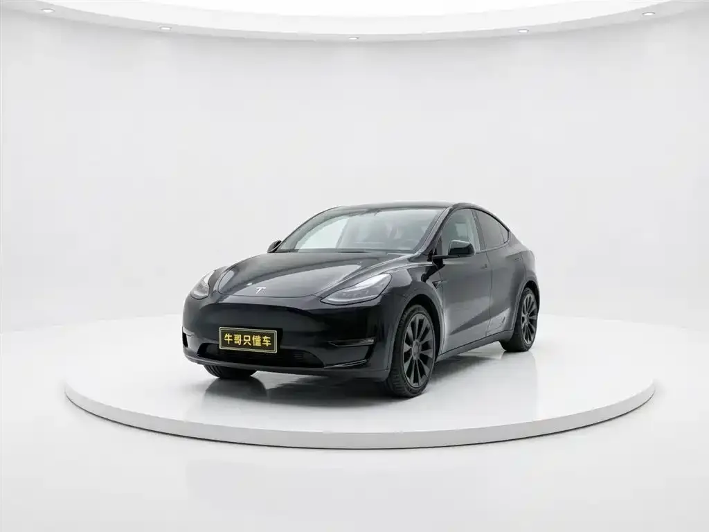 Tesla Model Y — фото 6