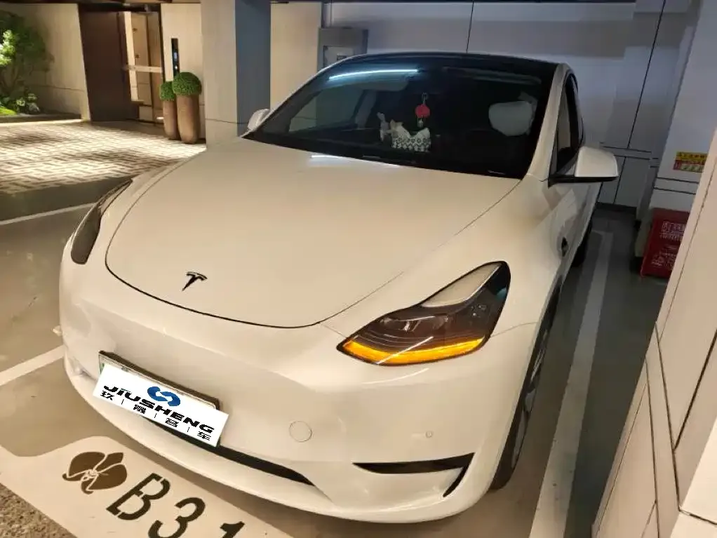 Tesla Model Y — фото 1