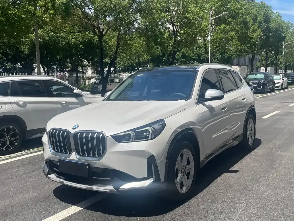 BMW X1 — фото 1