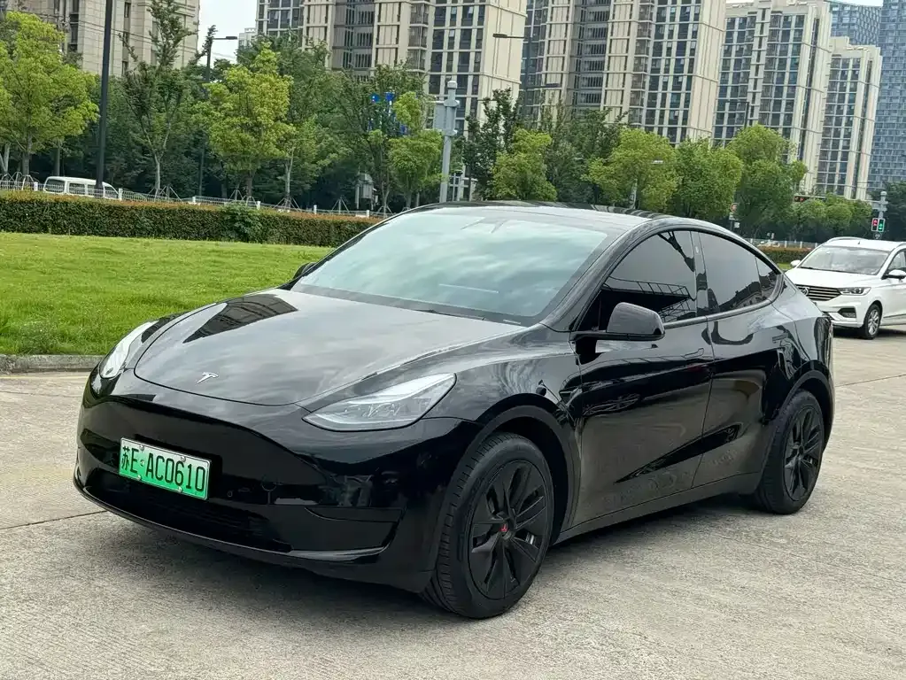 Tesla Model Y — фото 4