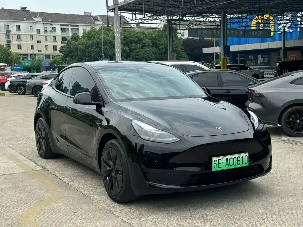 Tesla Model Y — фото 5