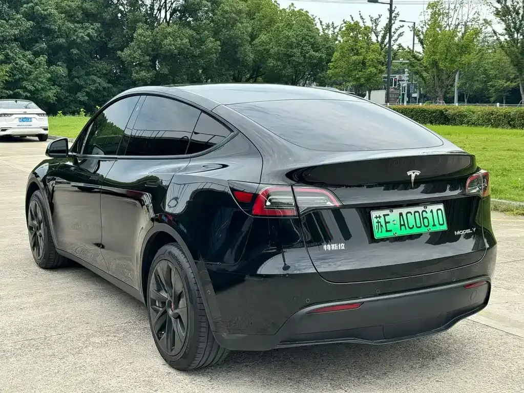 Tesla Model Y — фото 6