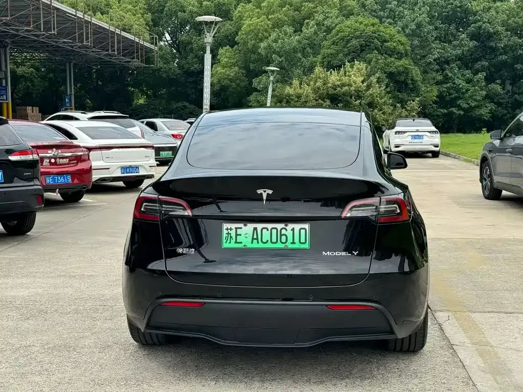 Tesla Model Y — фото 9