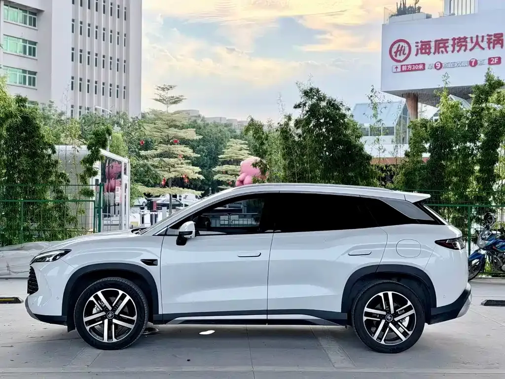BYD L DM-i — фото 9
