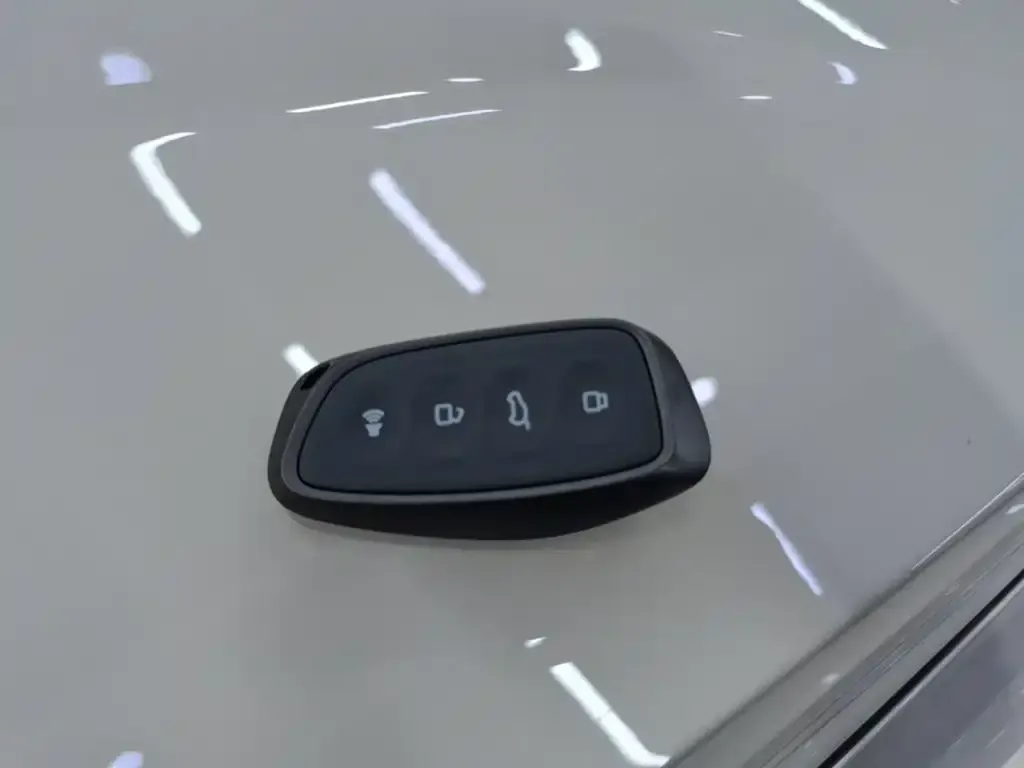 Haval Xiaolong MAX 2023 из CN, фото 2