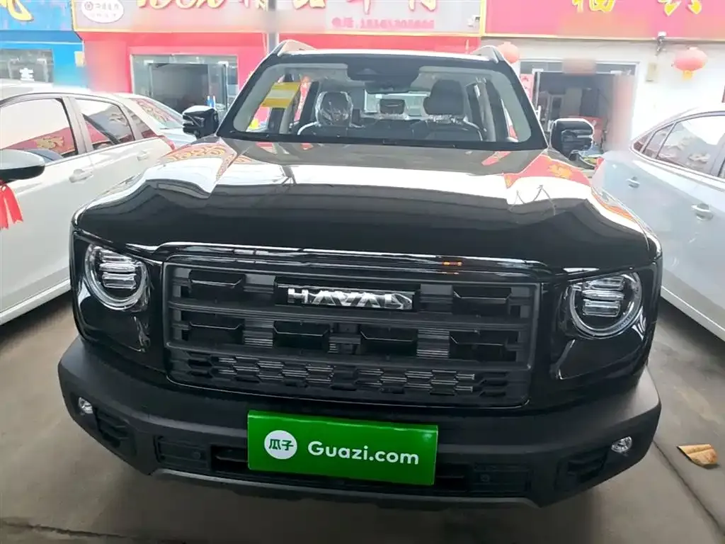 Haval Big Dog — фото 6