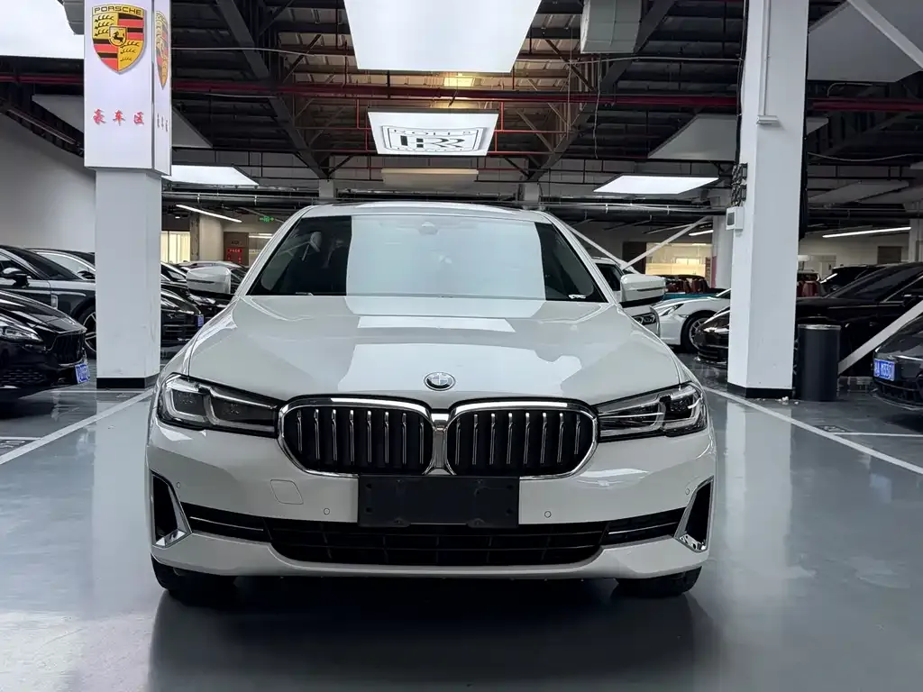 BMW 5 Series 2021 из CN, фото 3