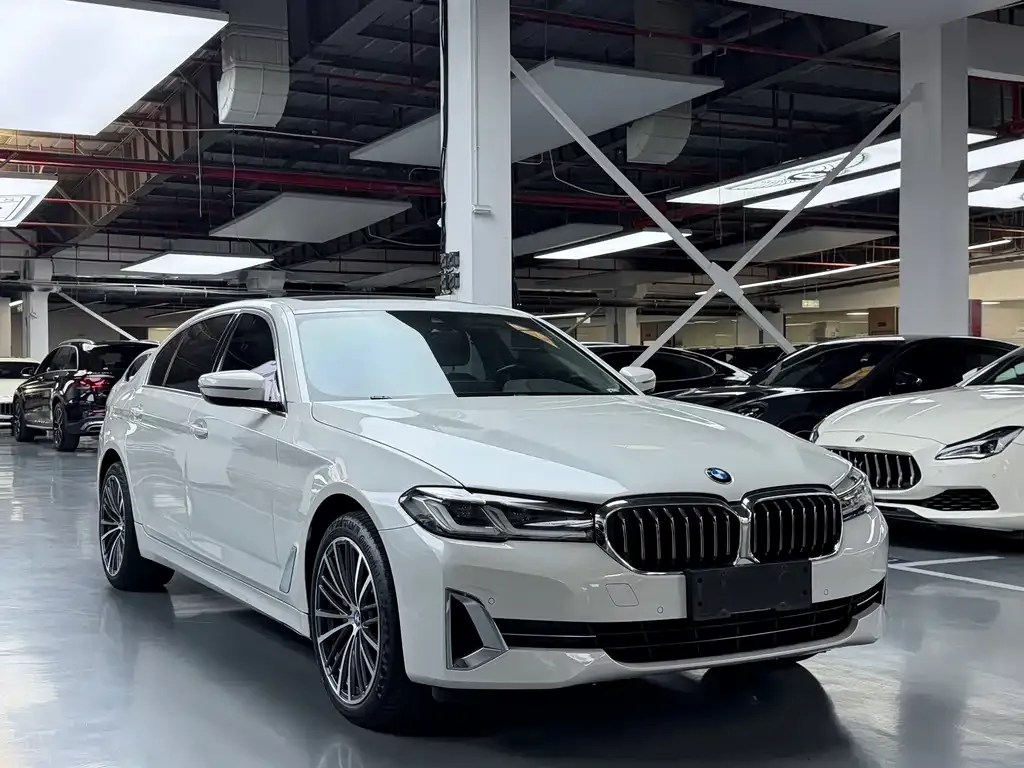 BMW 5 Series 2021 из CN, фото 5