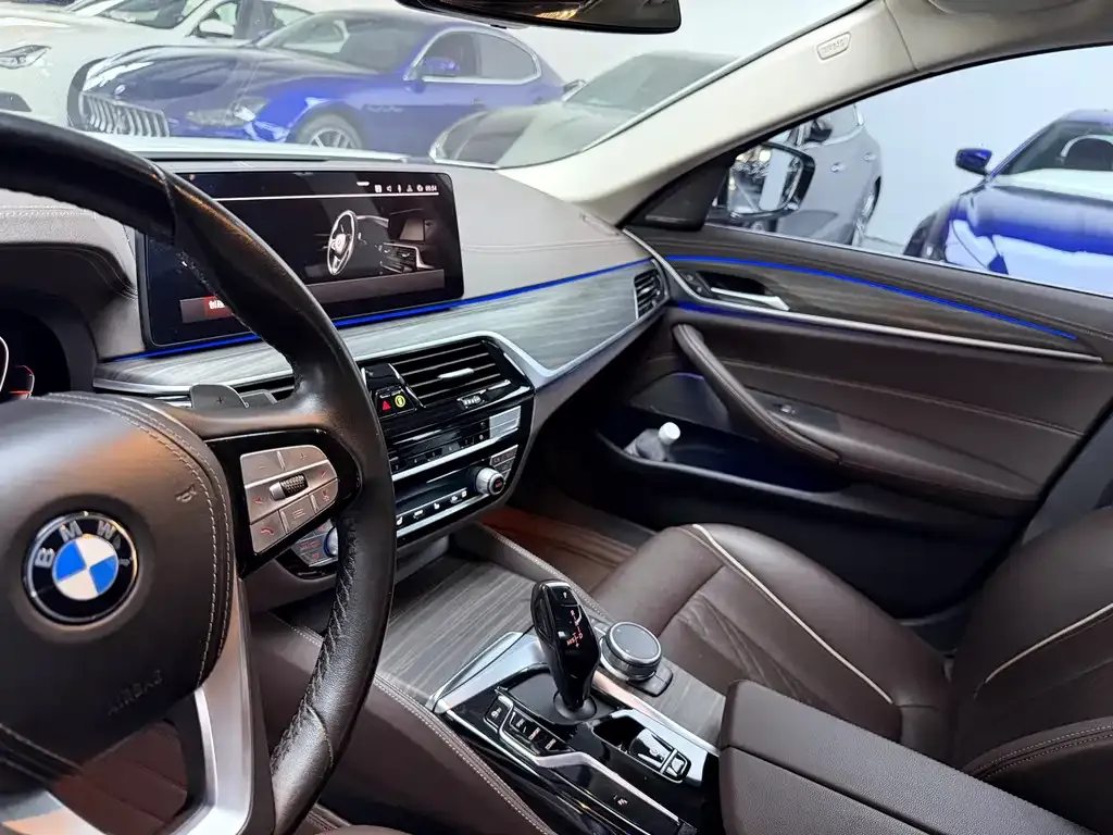 BMW 5 Series 2021 из CN, фото 9