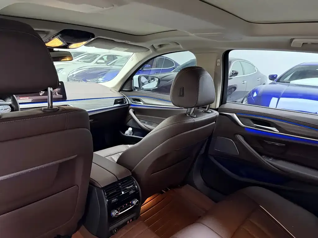 BMW 5 Series 2021 из CN, фото 4