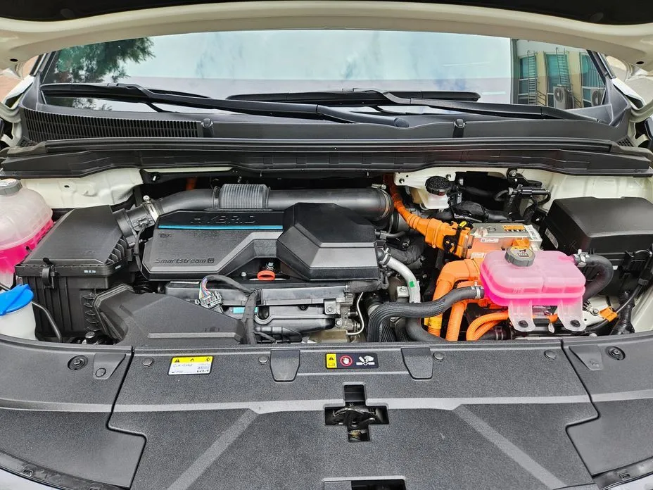 Kia Carnival — фото 10