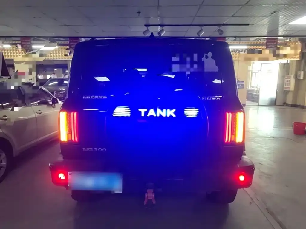 Tank 300 2024 из CN, фото 2