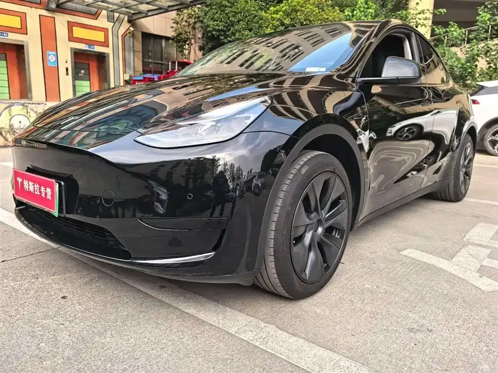 Tesla Model Y — фото 8