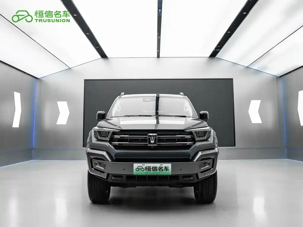 Tank 400 New Energy 2023 из CN, фото 8